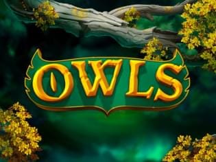 Owls screenshot